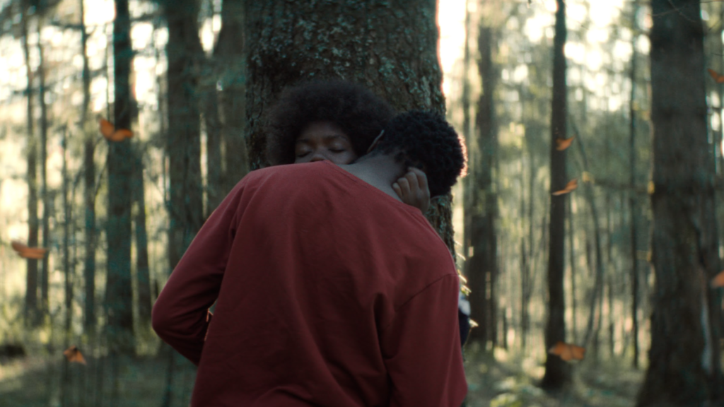 El jardín de nuestros sueños