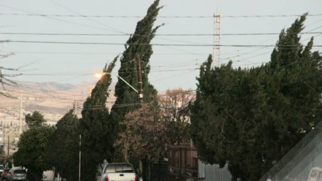 Fuerte Alerta de Vientos en CDMX