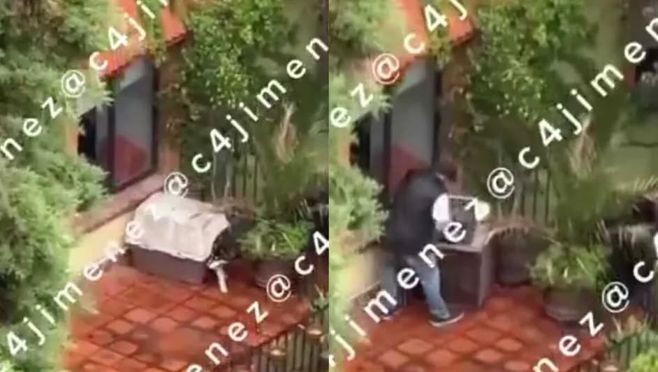 Hombre agredió a su husky en CdMx; piden rescate urgente del perro