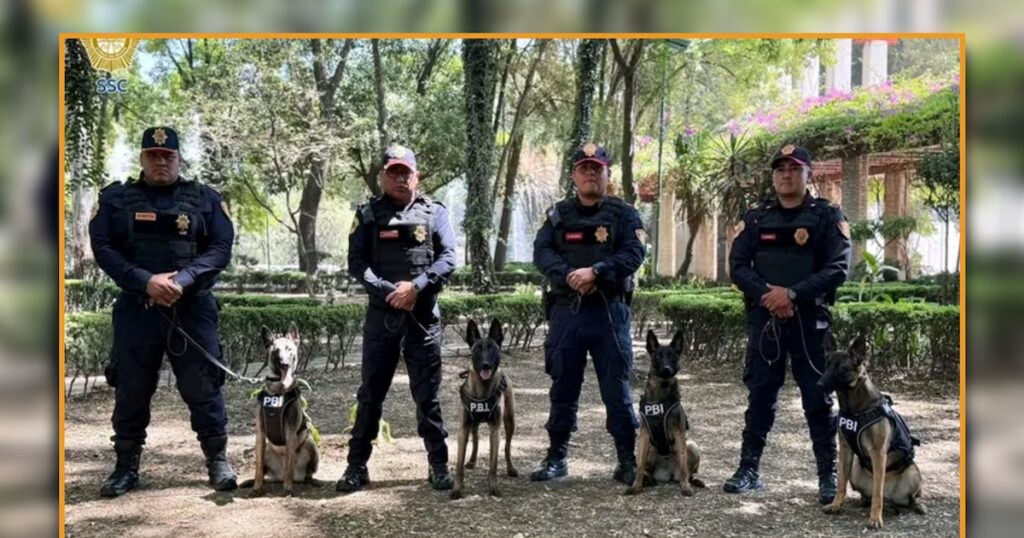 CDMX potencia seguridad con perros de apoyo para el Mundial 2026