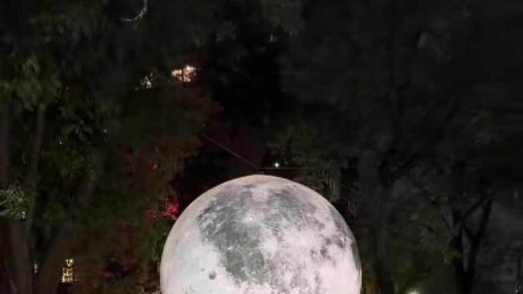 Lady detiene el tráfico en CDMX