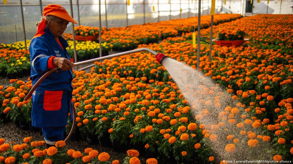 Reforma de Sheinbaum para una jornada laboral más corta