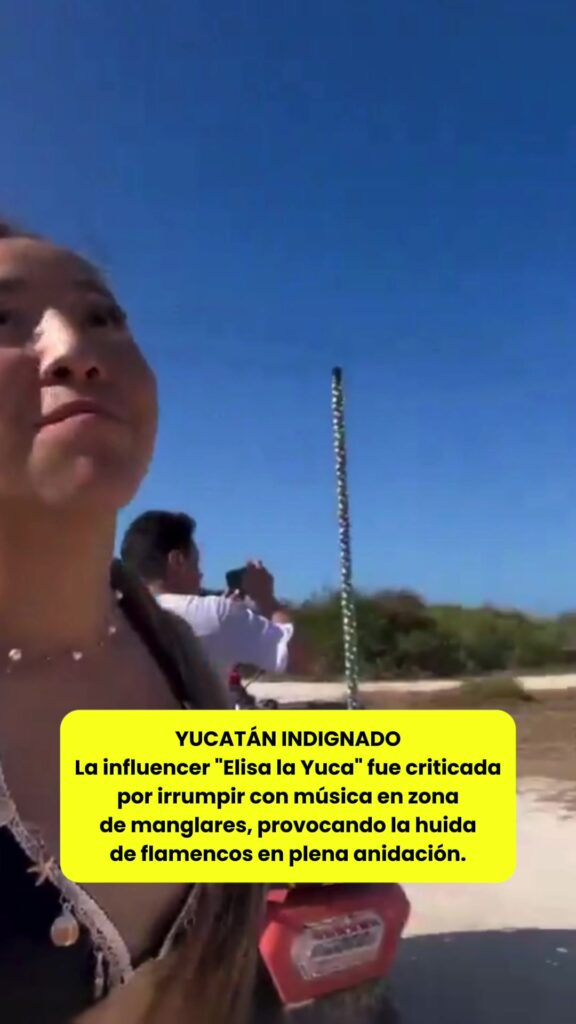 @elhilomx La influencer “Elisa la Yuca” fue criticada por irrumpir con música en…
