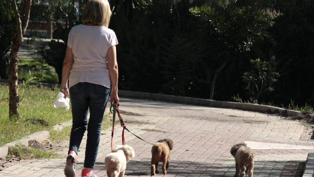 Congreso propone bebederos para perros en parques de CDMX