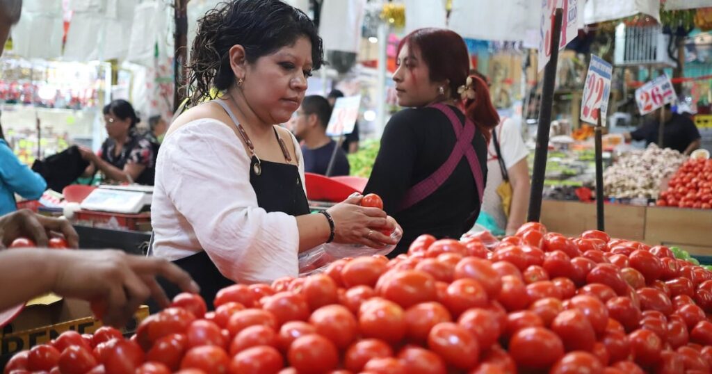El aumento del jitomate en México: razones detrás de los 60 pesos