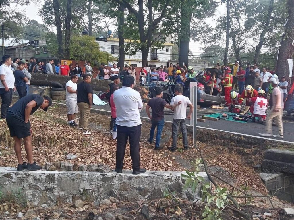 Tragedia en la carretera México-Cuernavaca: Tres conductores pierden la vida al caer un árbol
