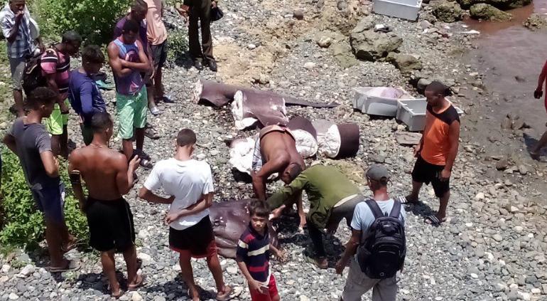 Cubanos atrapan tiburón de 500 kilos y comparten el banquete