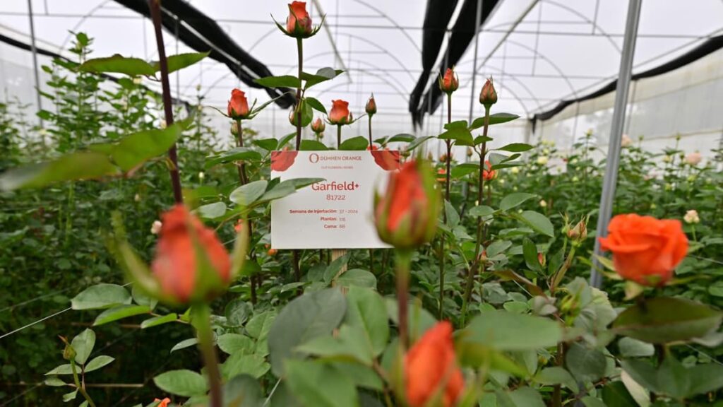 Edomex lanza nuevas rutas turísticas: del mezcal a los jardines