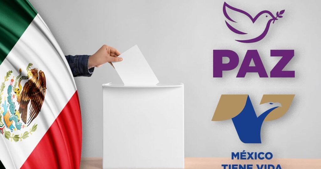 INE determinará el registro de partidos políticos este jueves