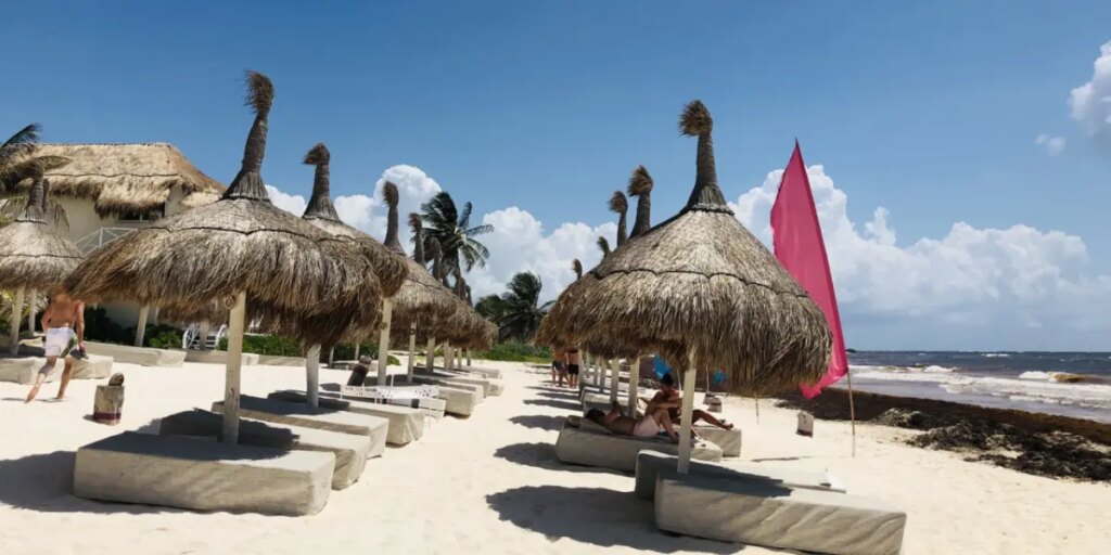 Parque del Jaguar en la mira tras caída en Tulum