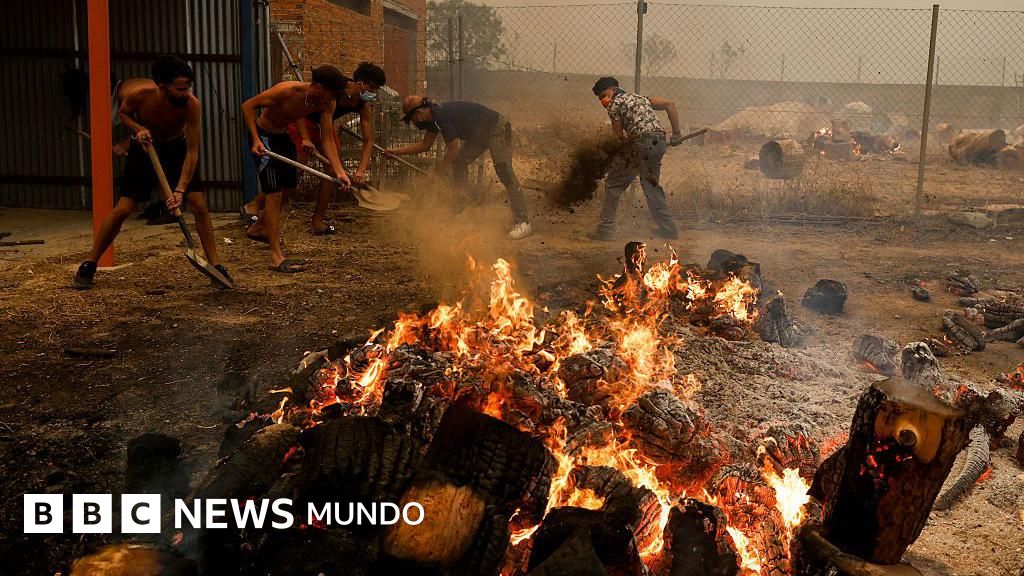 Cinco Minutos que Cambiaron Todo: Historias de los Afectados por los Incendios en España y Francia