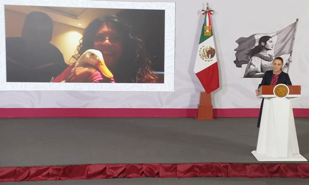 Merlín, el pato que transforma vidas: una familia encuentra su hogar en la CDMX