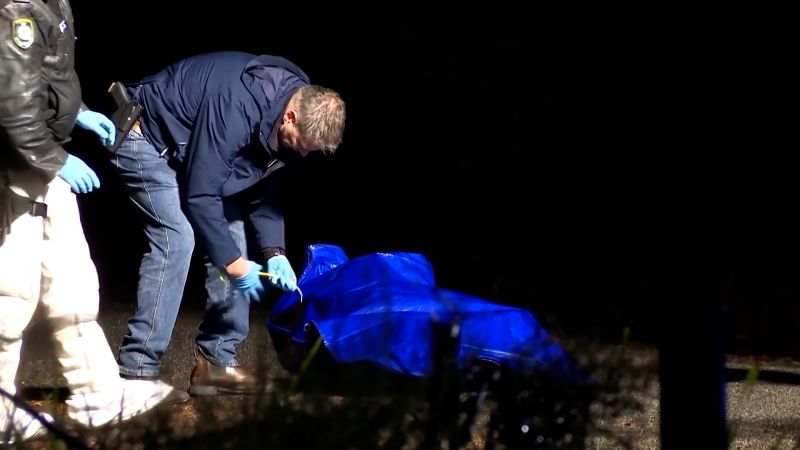 Muñeca confundida con un cadáver: cierre de la investigación en Australia