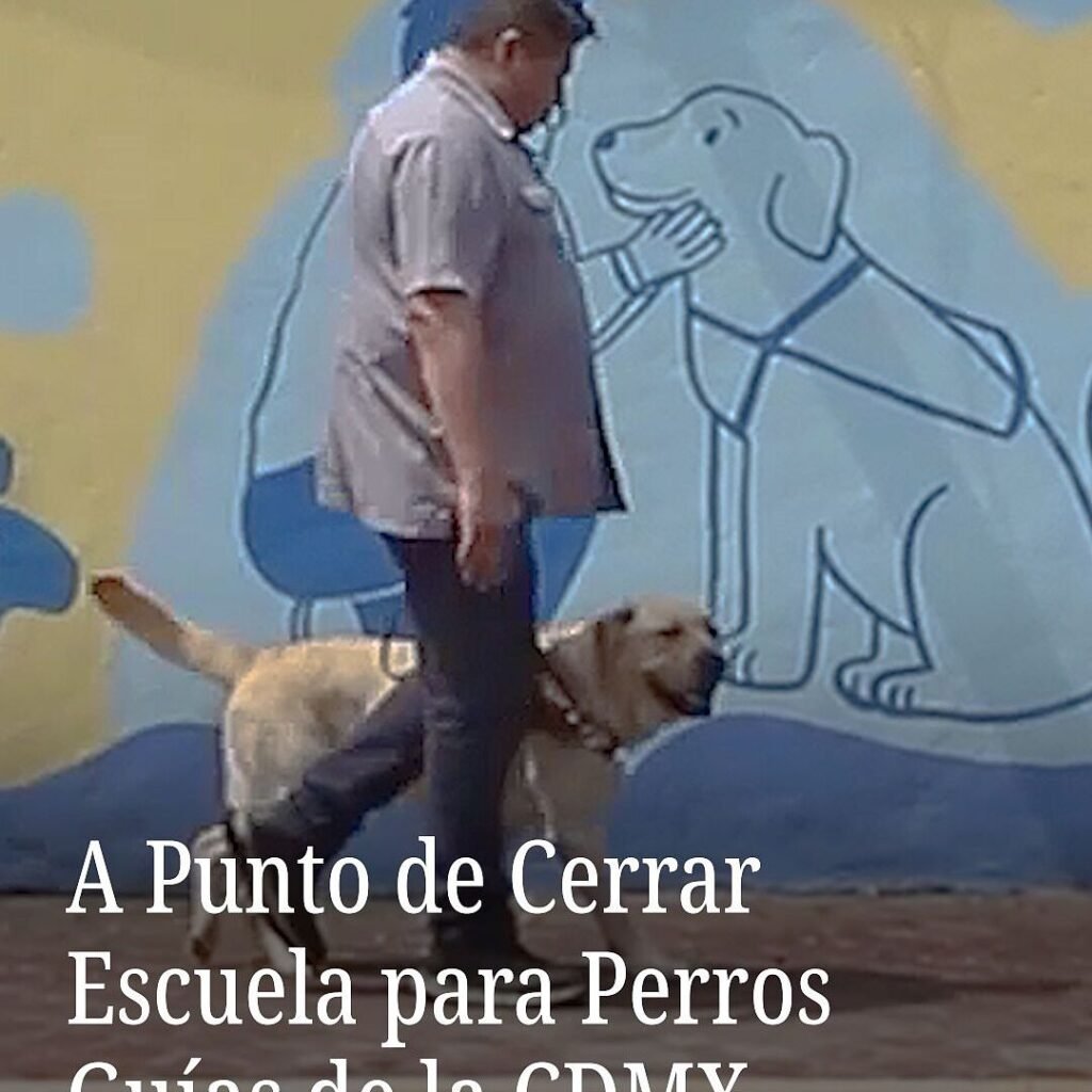 Salvar la Escuela de Perros Guía en CDMX
