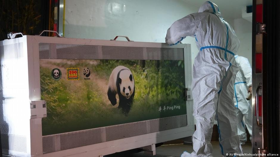 China sorprende a Estados Unidos con el envío de dos pandas gigantes