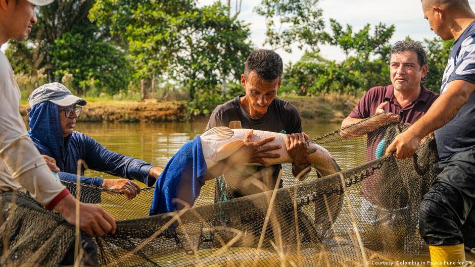 Colombia Sostenible impulsa la paz en el campo