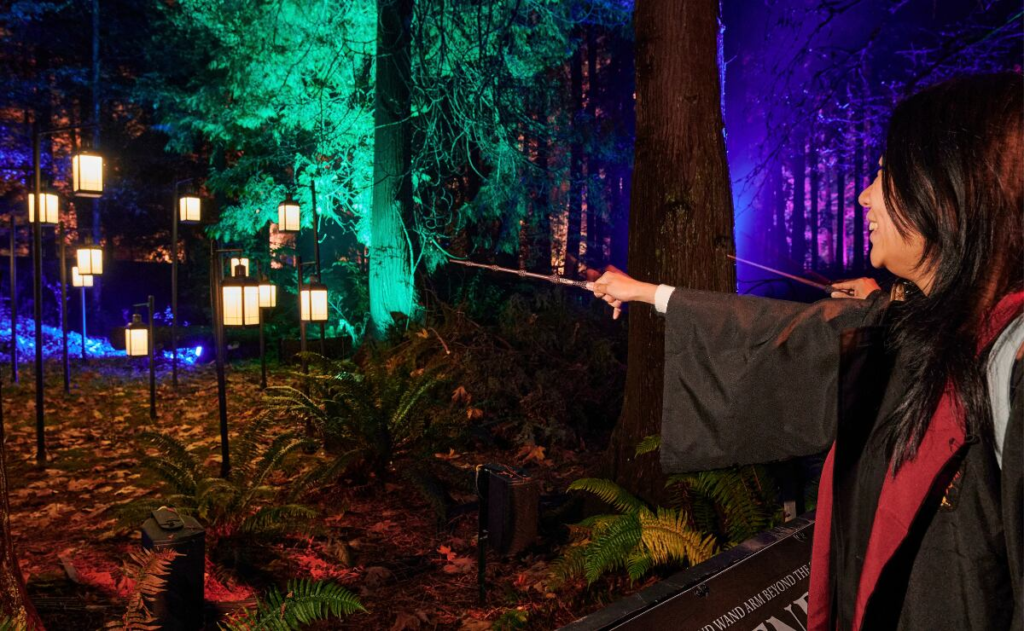 El Bosque Prohibido de Harry Potter llegará cerca de Ciudad de México
