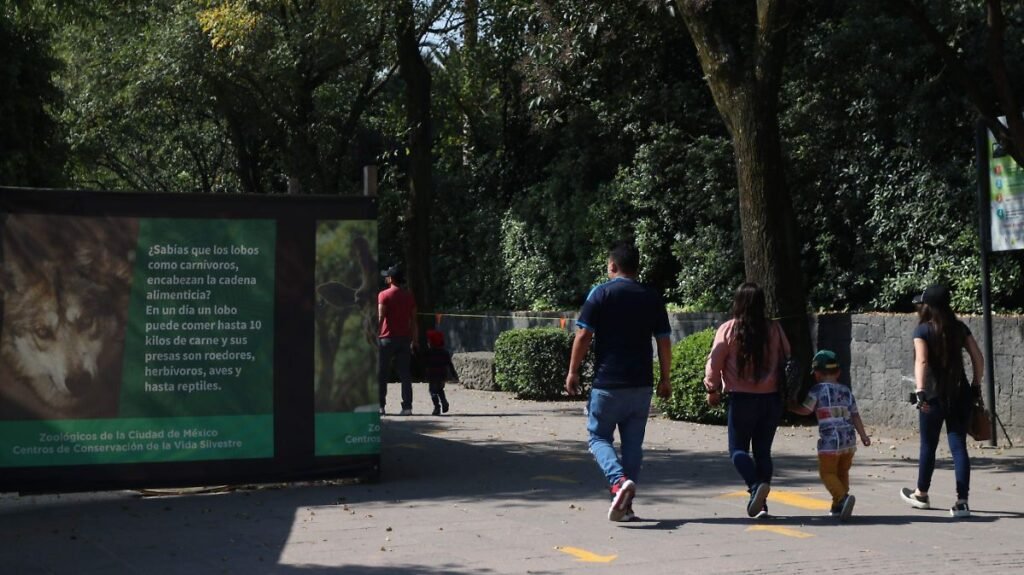 Salud ambiental en CDMX: Urge intensificar acciones contra la contaminación y residuos