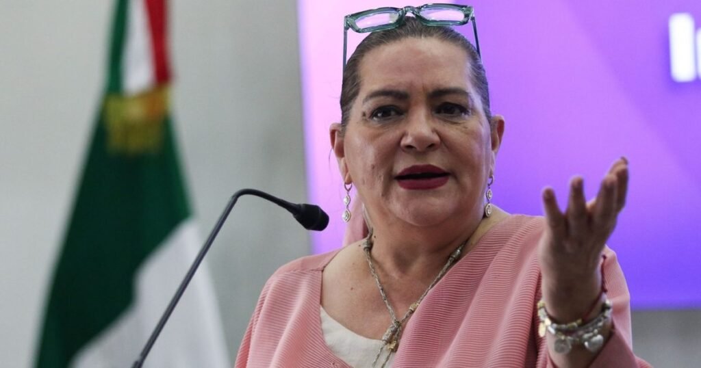 Taddei defiende al INE frente a críticas sobre el proceso electoral