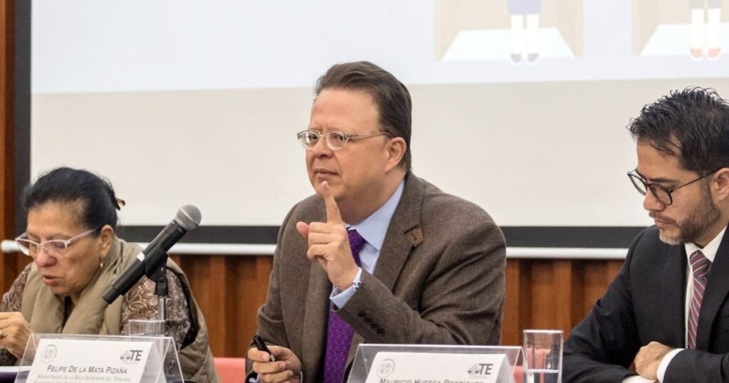 Magistrado del TEPJF sugiere anular boletas planchadas en elecciones